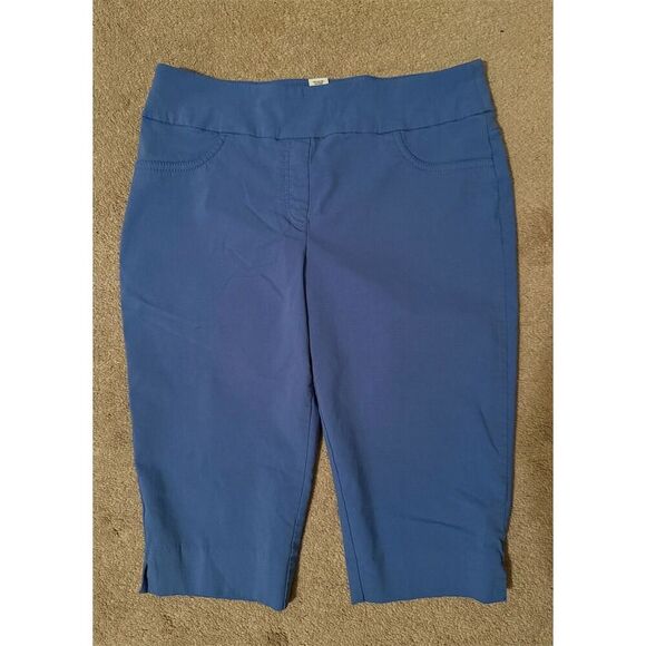 Ruby Rd. Women's Capri Pants Size 14 Blue Stretch Casual - Picture 1 of 3